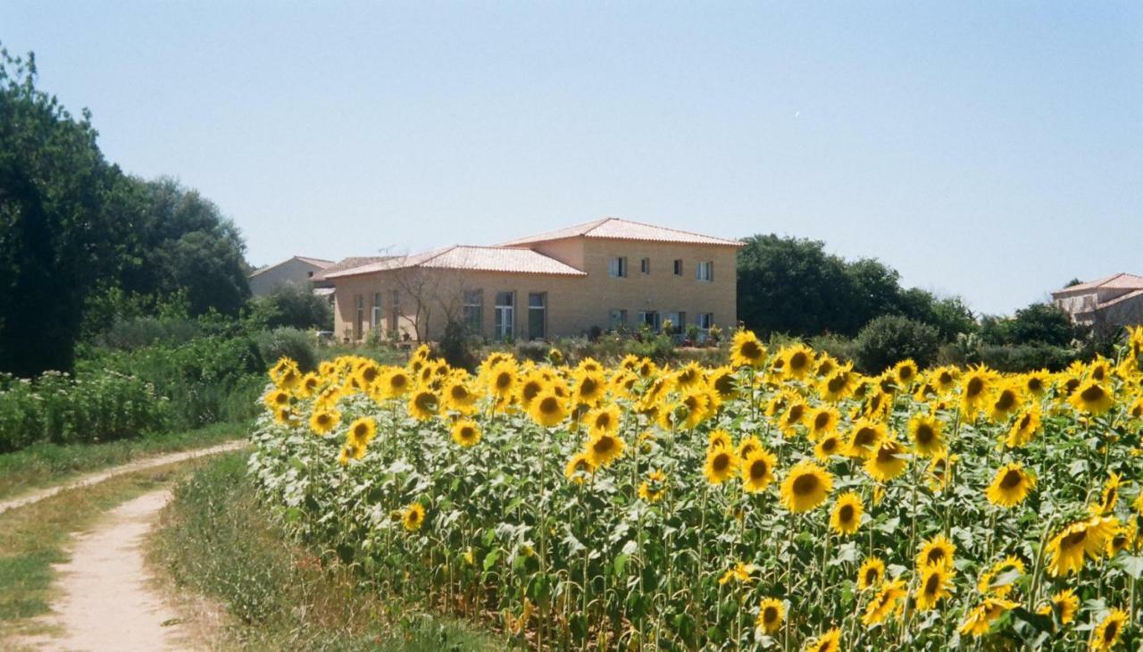 Collias Villa La Charmeuse Fleurie מראה חיצוני תמונה